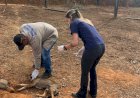 Campanha de Vacinação Antirrábica na Zona Rural