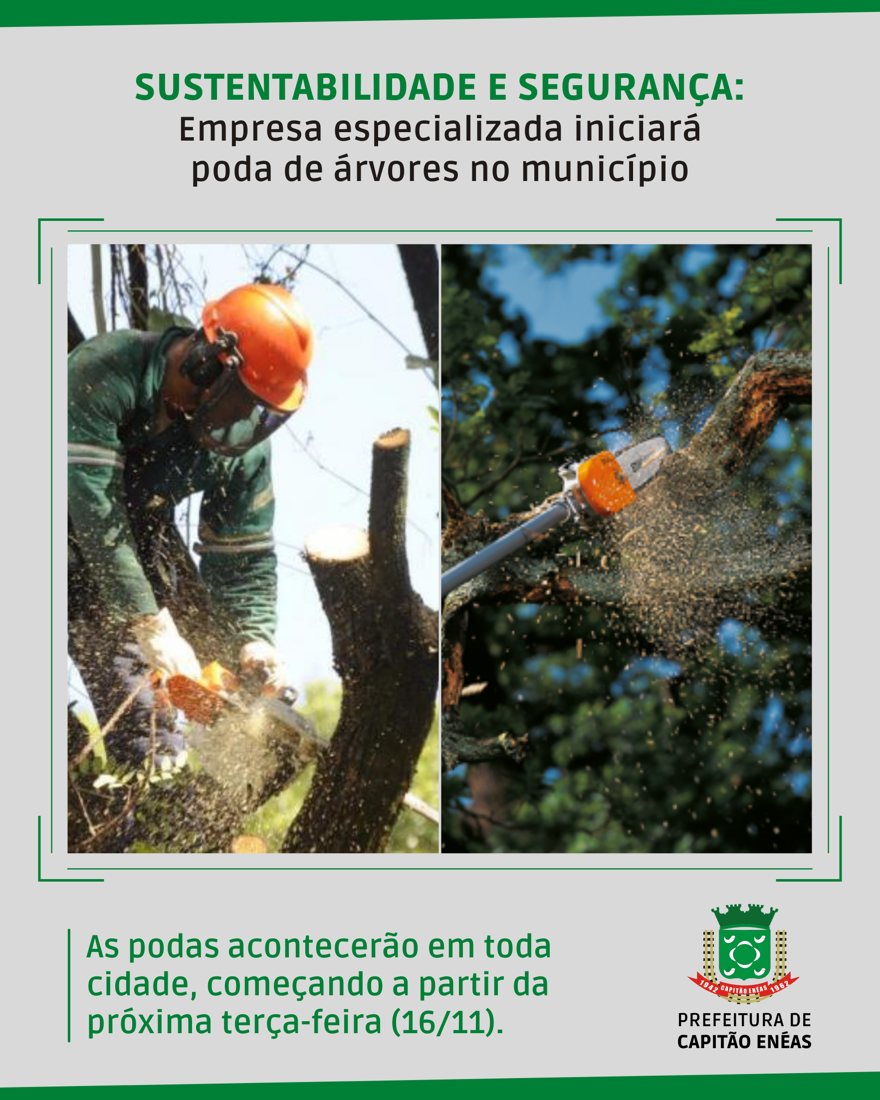 SUSTENTABILIDADE E SEGURANÇA: EMPRESA ESPECIALIZADA INICIARÁ PODA DE ÁRVORES DO MUNICÍPIO