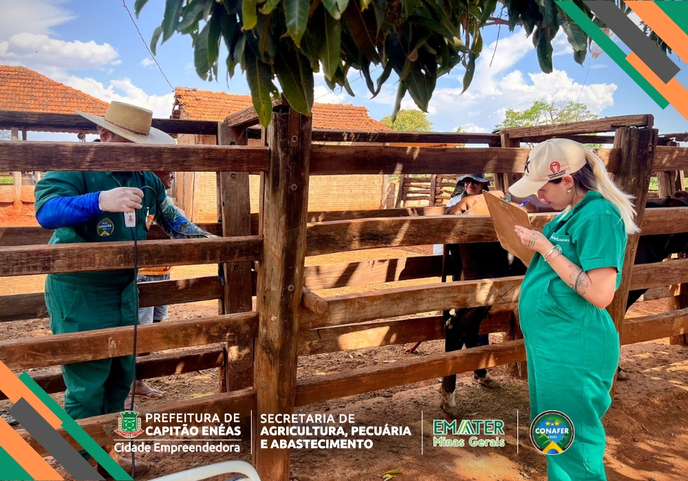 +pecuária Brasil – Acompanhamento Gestacional